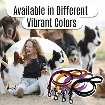 Comfortable Dog Walking Leash