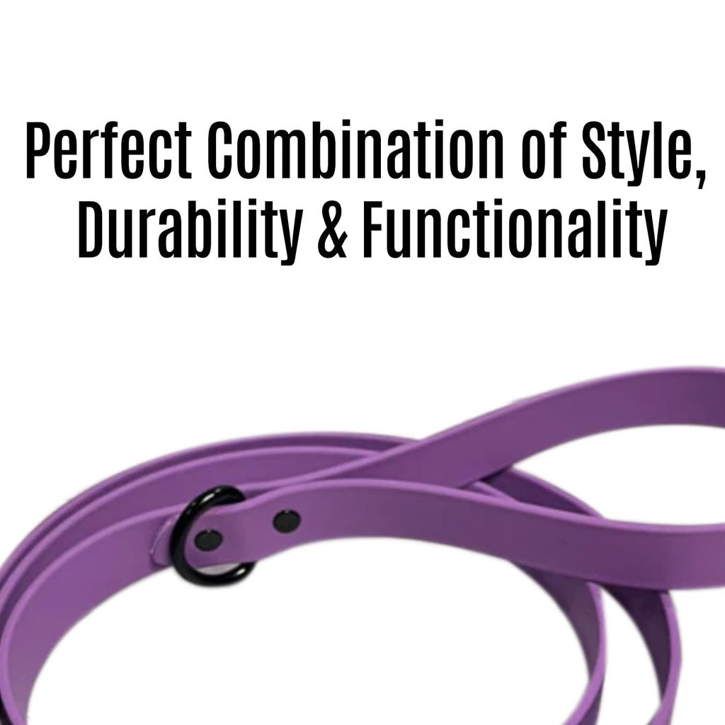 Comfortable Dog Walking Leash