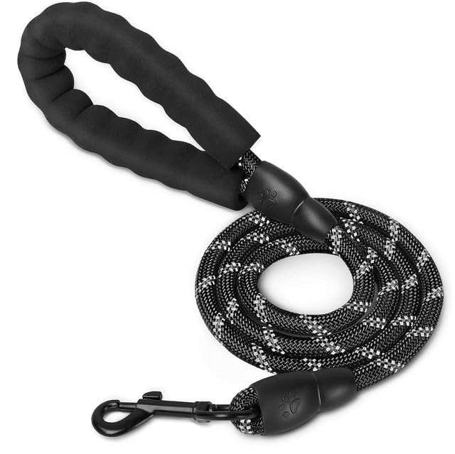 Heavy Duty Leash for Dogs