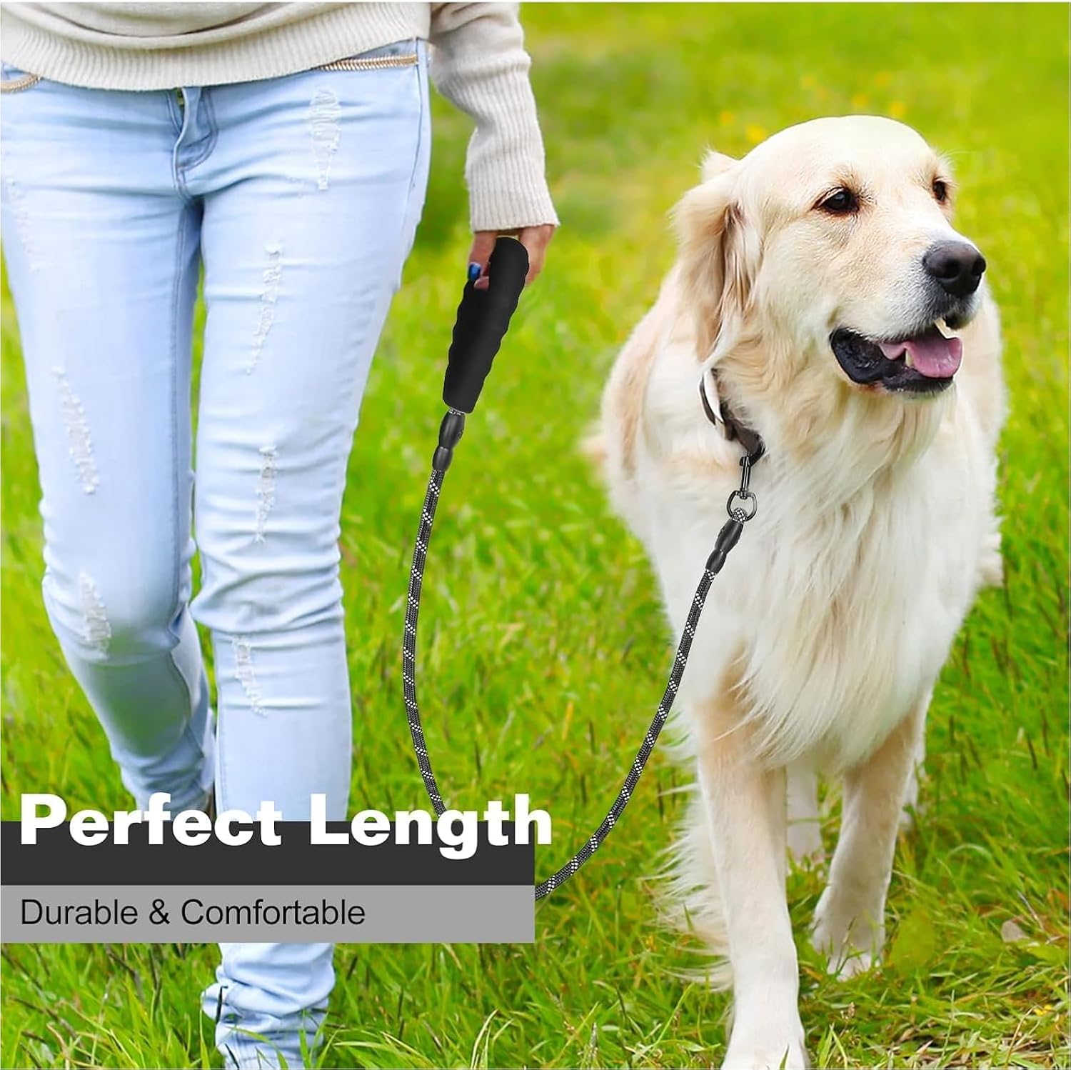 Heavy Duty Leash for Dogs