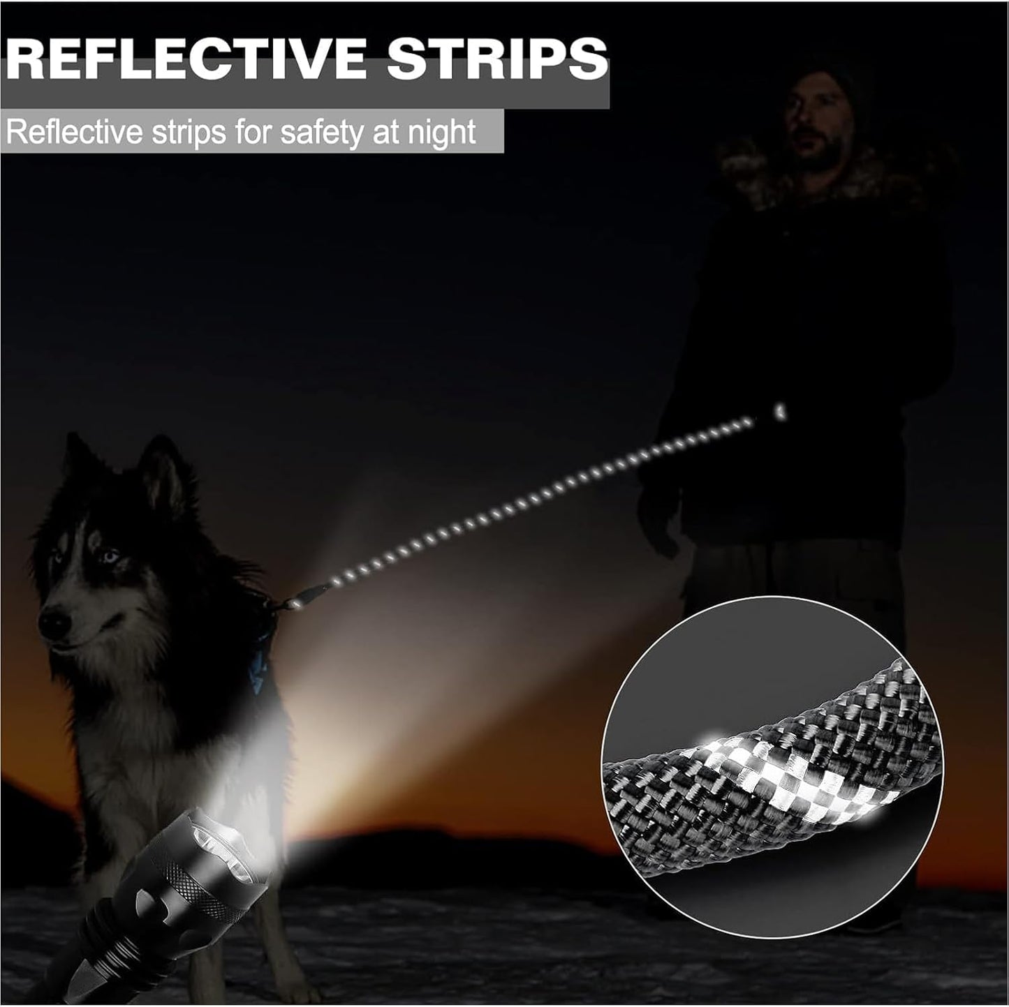 Heavy Duty Leash for Dogs