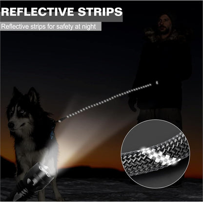 Heavy Duty Leash for Dogs