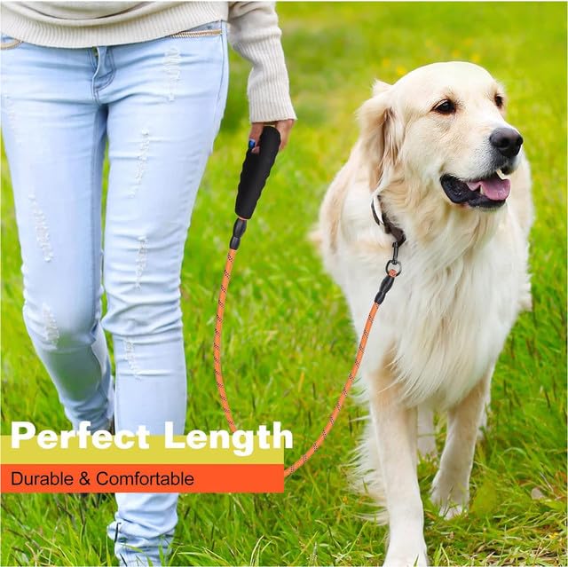 Heavy Duty Dog Leashes for all Breeds
