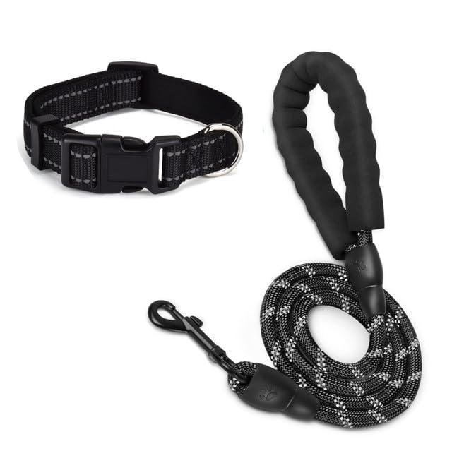 Dog Leash and Collar Set Heavy Duty