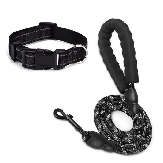 Dog Leash and Collar Set Heavy Duty