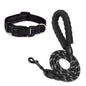 Dog Leash and Collar Set Heavy Duty