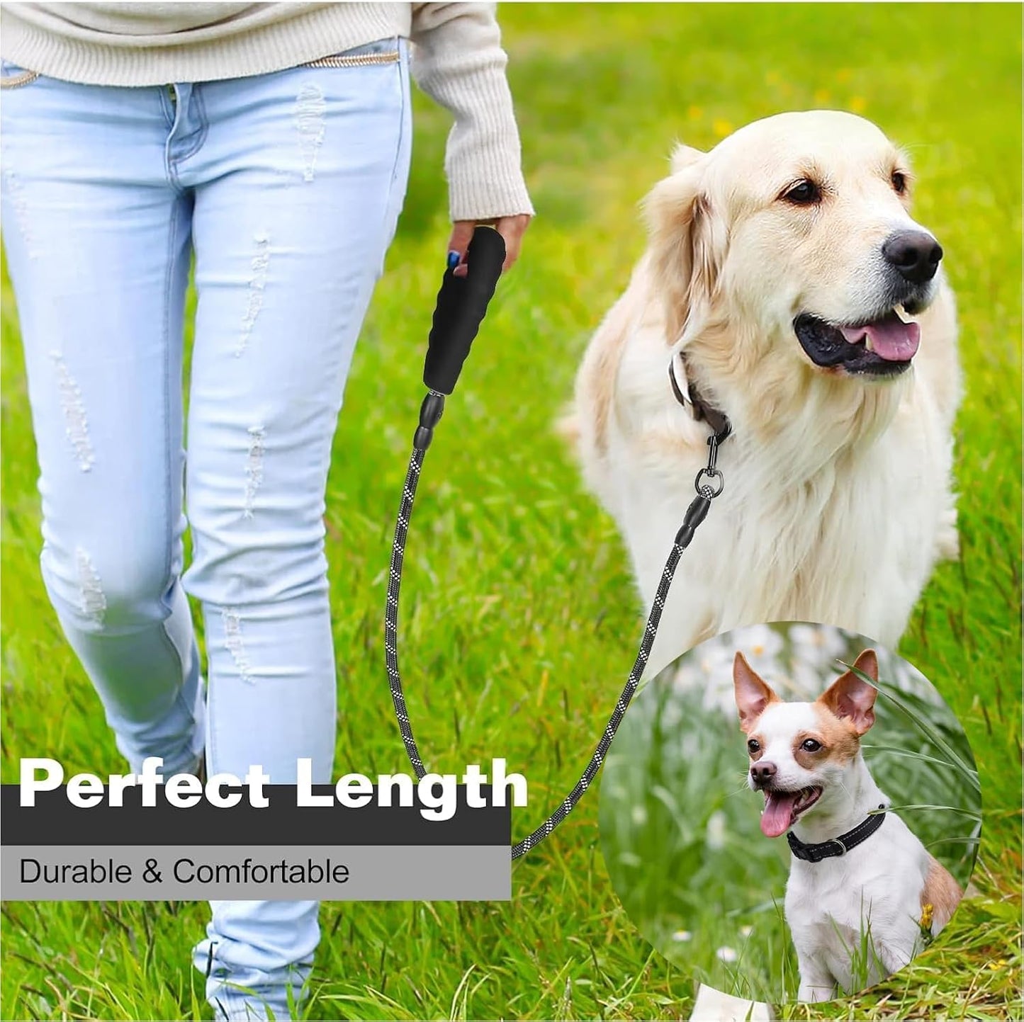 Dog Leash and Collar Set Heavy Duty