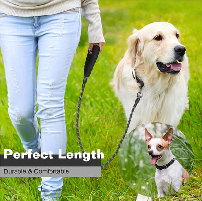 Dog Leash and Collar Set Heavy Duty
