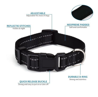 Dog Leash and Collar Set Heavy Duty