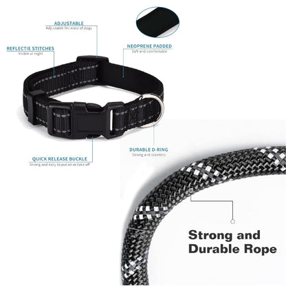Dog Leash and Collar Set Heavy Duty