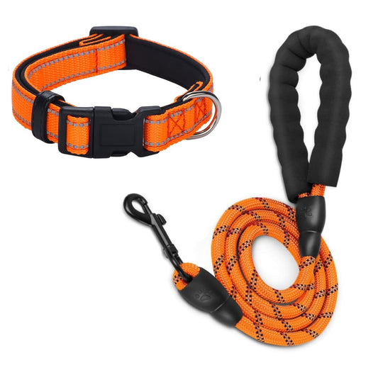 Dog Leash and Collar Set Heavy Duty