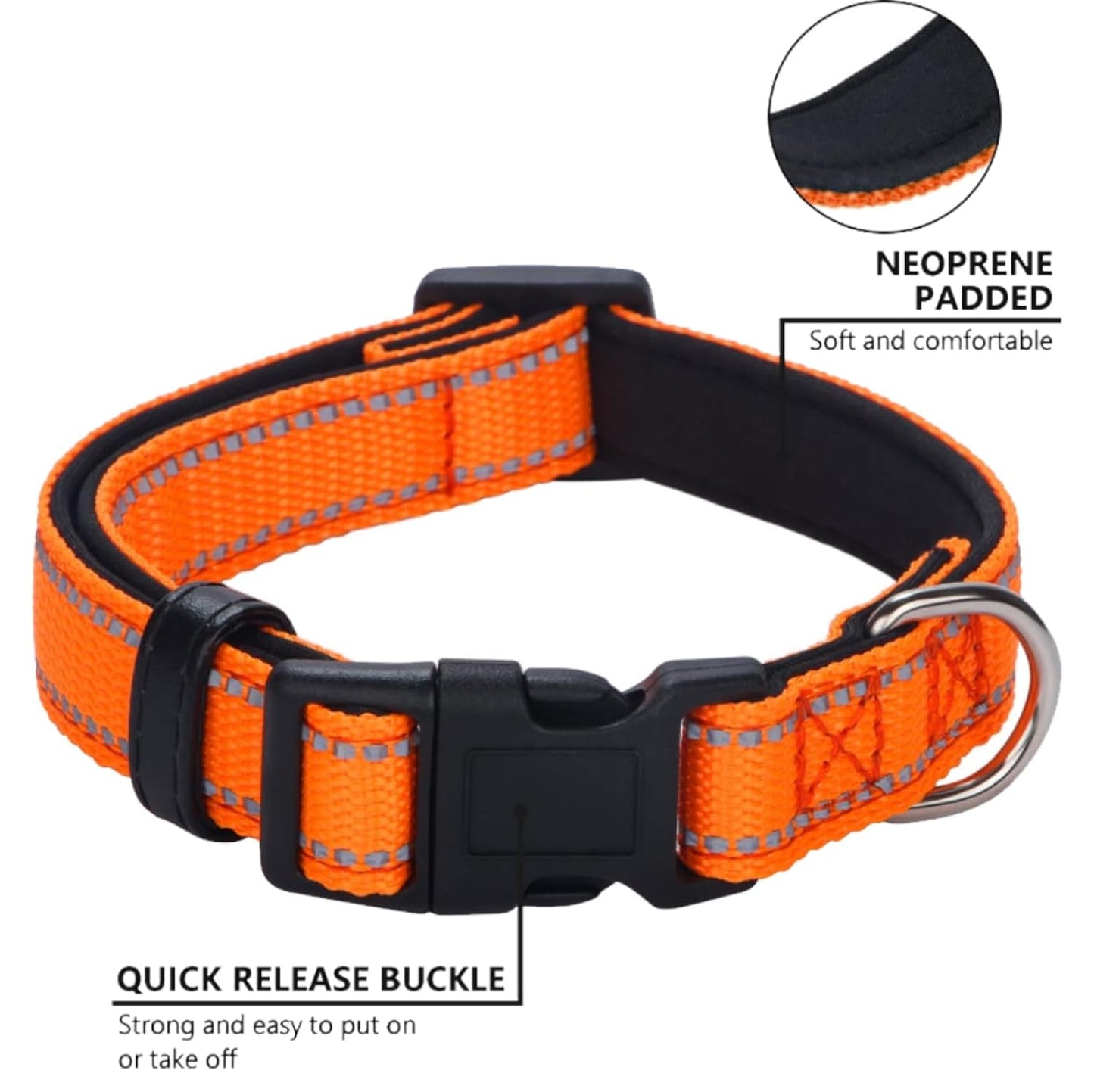 Dog Leash and Collar Set Heavy Duty
