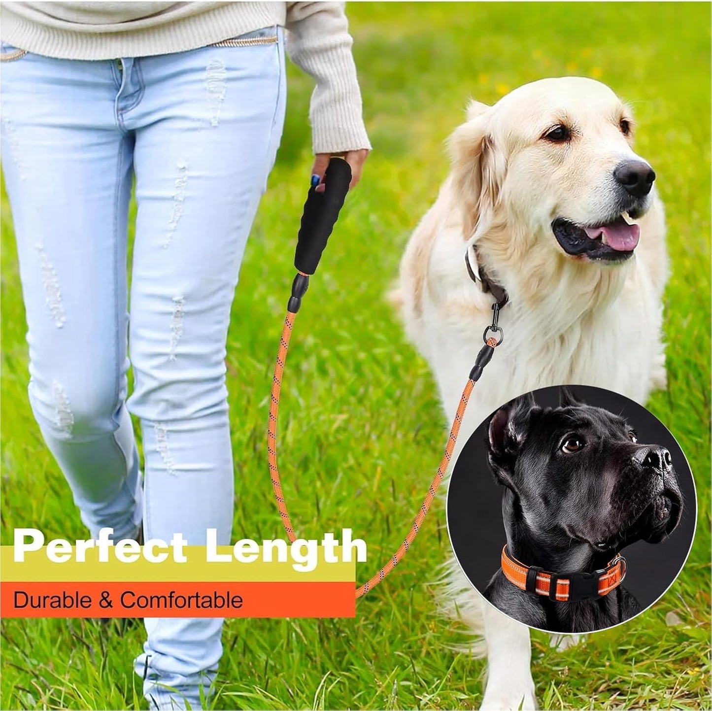 Dog Leash and Collar Set Heavy Duty