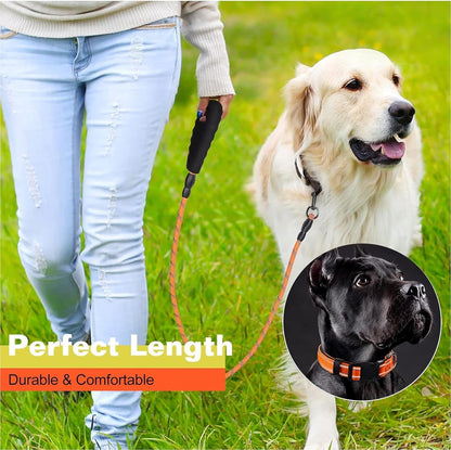 Dog Leash and Collar Set Heavy Duty