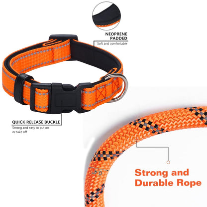 Dog Leash and Collar Set Heavy Duty