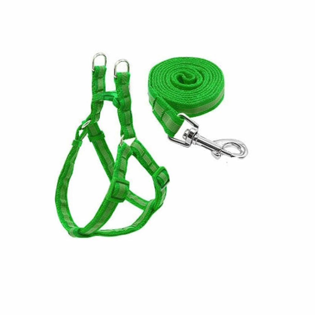 Green Reflective No-Pull Harness Set