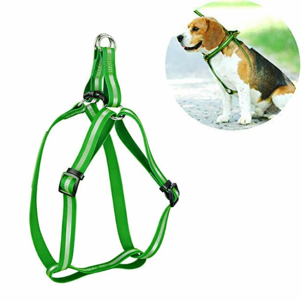 Green Reflective No-Pull Harness Set