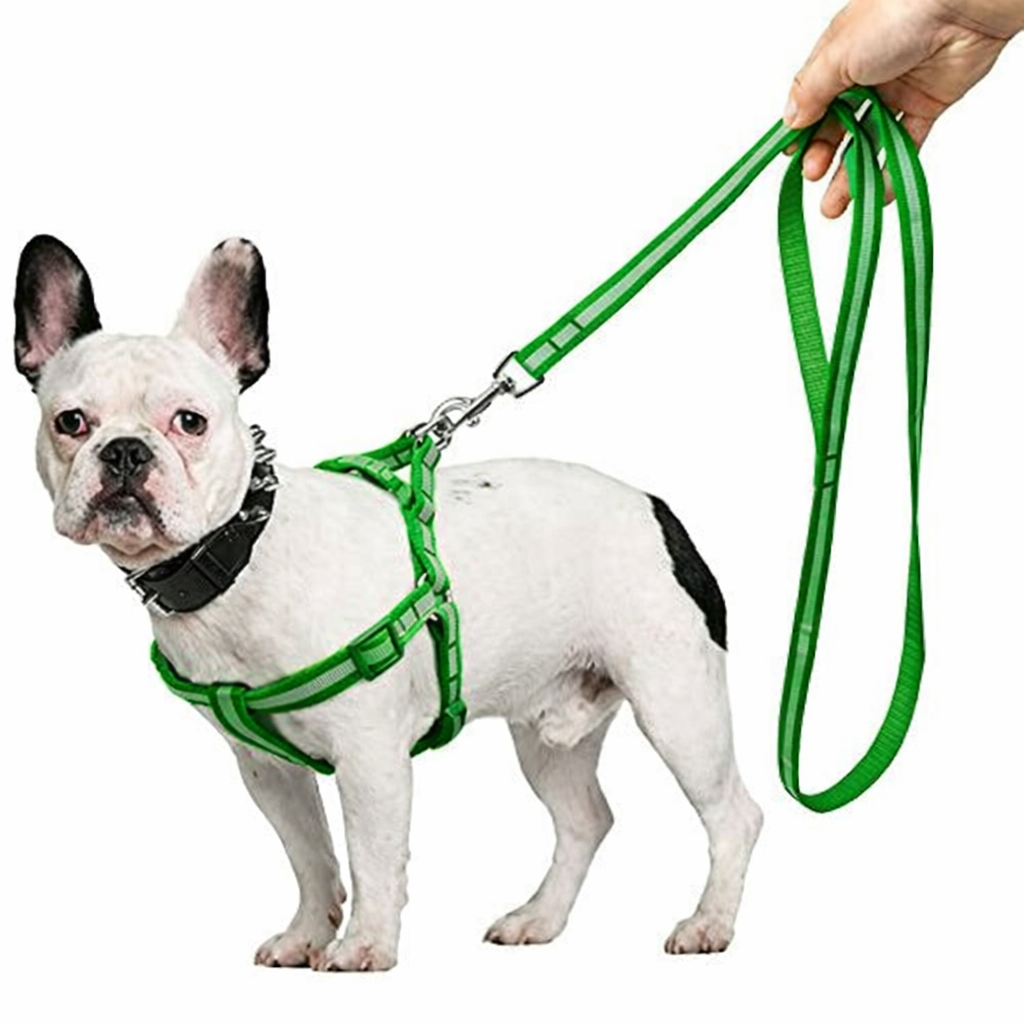 Green Reflective No-Pull Harness Set