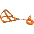 Reflective No-Pull Dog Harness leash Set