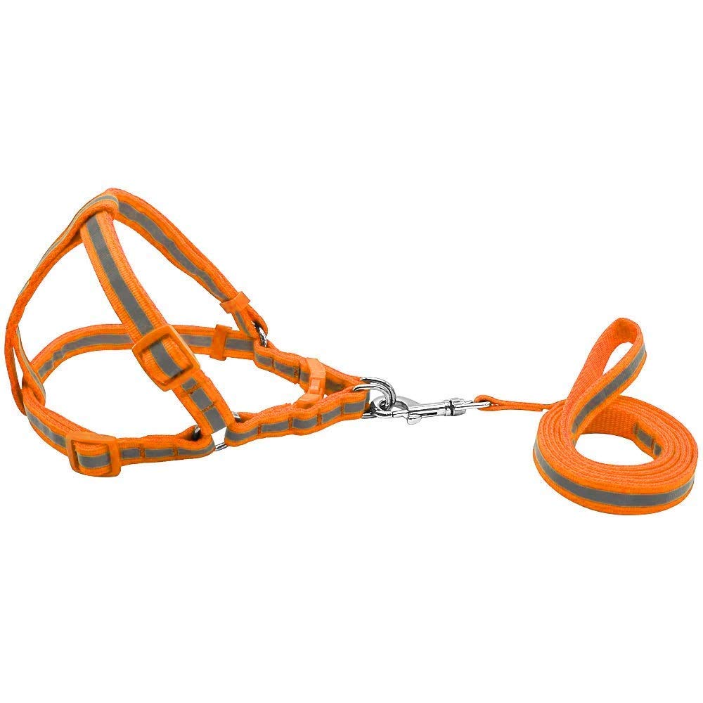 Reflective No-Pull Dog Harness leash Set