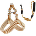 Soft and Adjustable Vest Pet Leash Set