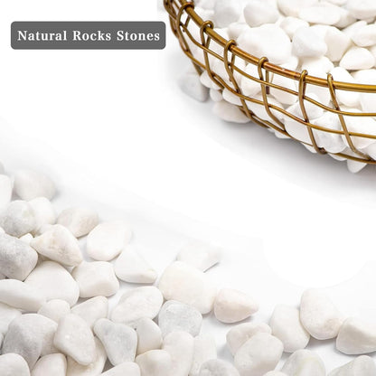 White Polished Gravel Stones for Fish Tank Fillers 1KG (0.8-1cm)