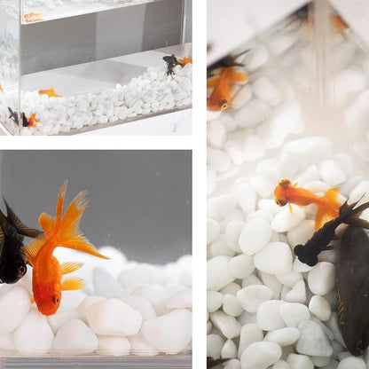 White Polished Gravel Stones for Fish Tank Fillers 1KG (0.8-1cm)