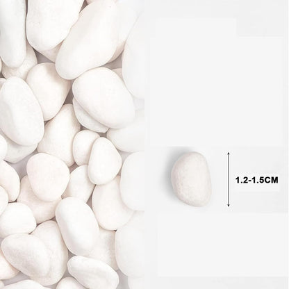 White Polished Decorative Gravel Stones 1KG - (1.2-1.5 cm)