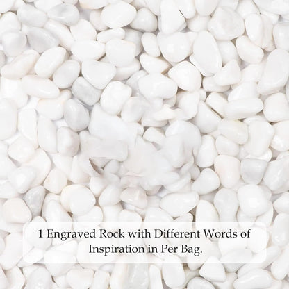 White Polished Decorative Gravel Stones 1KG - (1.2-1.5 cm)