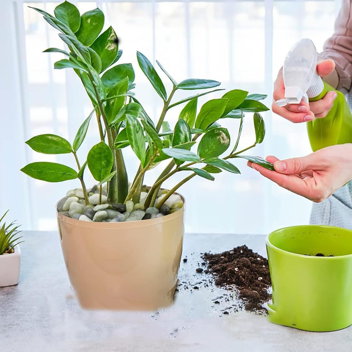 Polished Jade Pebbles for Succulents & Cactus – 1 KG