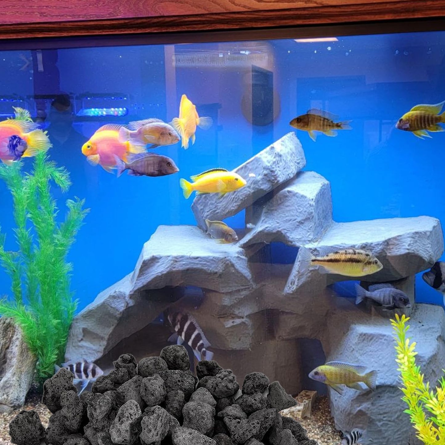 Decorative Stones Black Lava Rocks (2-3 cm) Granules- 0.5 KG