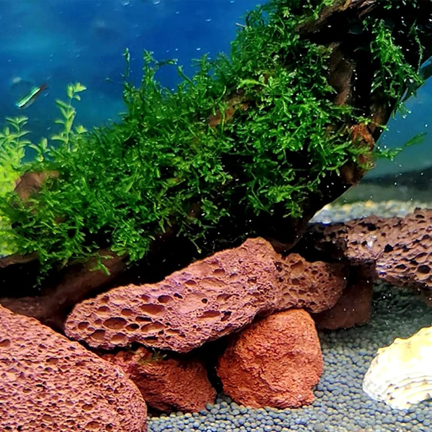 Decorative Natural Lava Rocks (2-3 cm), Aquarium Stones - 0.5 KG