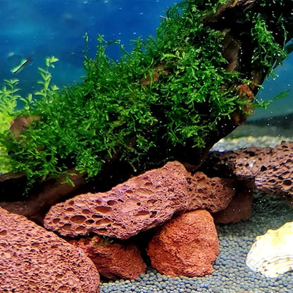 Decorative Natural Lava Rocks (2-3 cm), Aquarium Stones - 0.5 KG