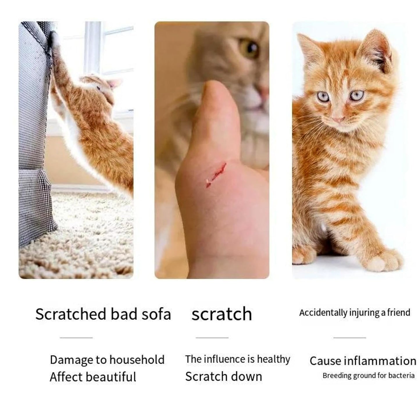 Stainless Steel Nail Clipper for Dogs & Cats