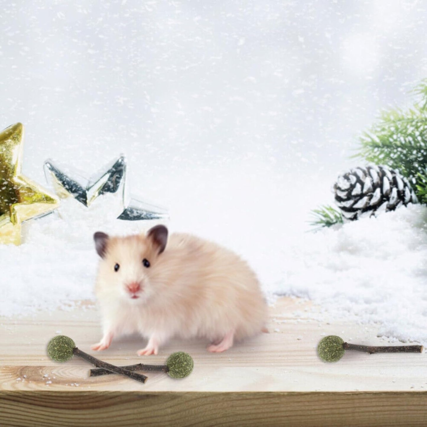 Natural Cat Catnip Treat Balls