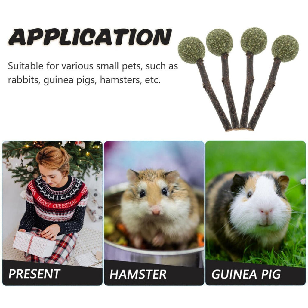 Natural Cat Catnip Treat Balls