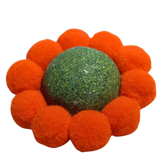 Catnip Chew Toy for Cats - Dental Care and Bonding