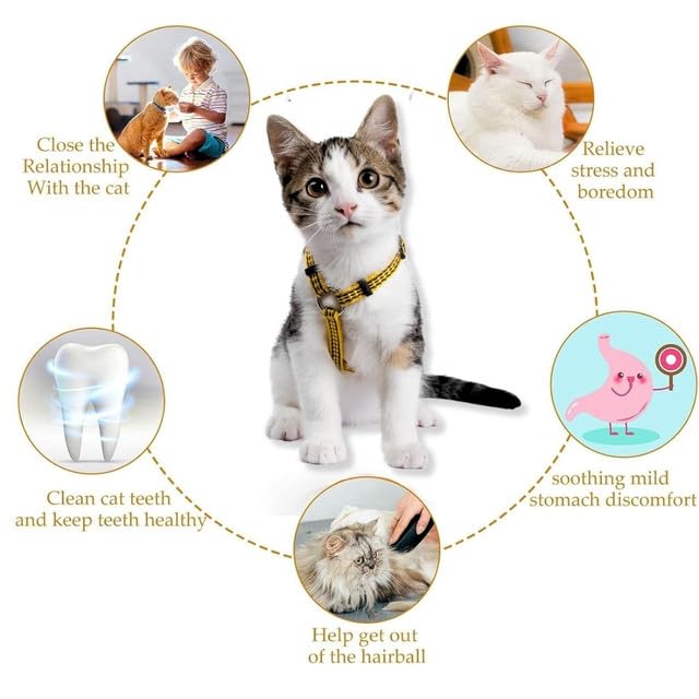 Catnip Chew Toy for Cats - Dental Care and Bonding