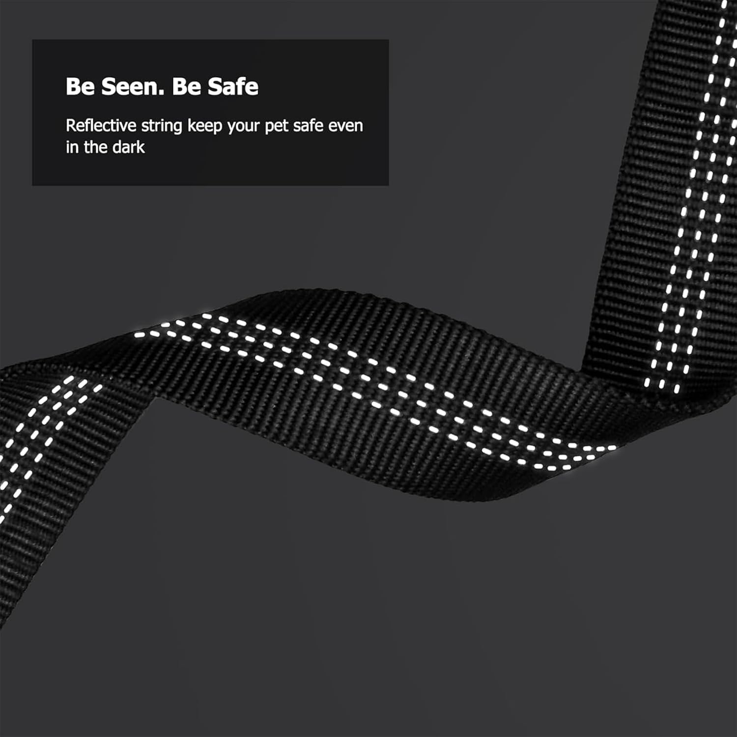 Reflective Nylon Dog Leash with Waist Belt