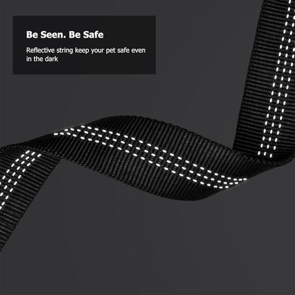 Reflective Nylon Dog Leash with Waist Belt