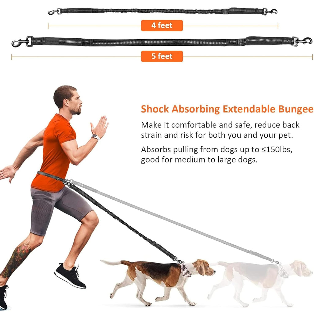 Reflective Nylon Dog Leash with Waist Belt