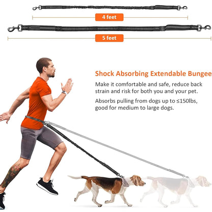 Reflective Nylon Dog Leash with Waist Belt