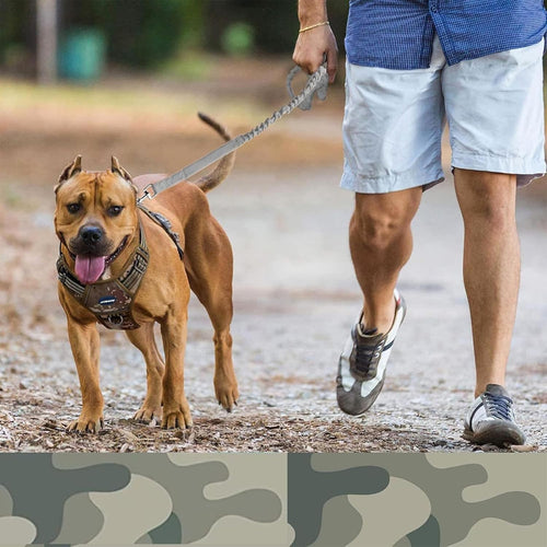 Bungee Dog Leash for Shock Absorption - Black