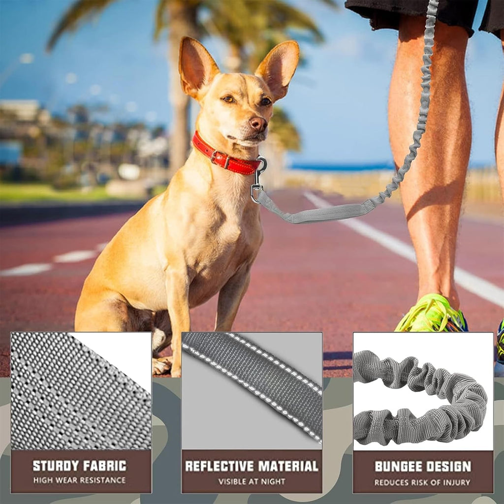 Bungee Dog Leash for Shock Absorption - Black