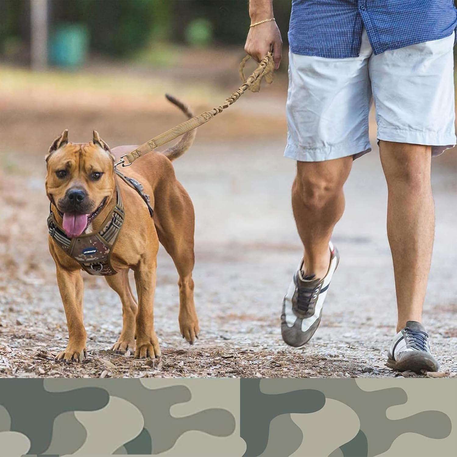 Bungee Shock-Absorbing Dog Leash- Blue