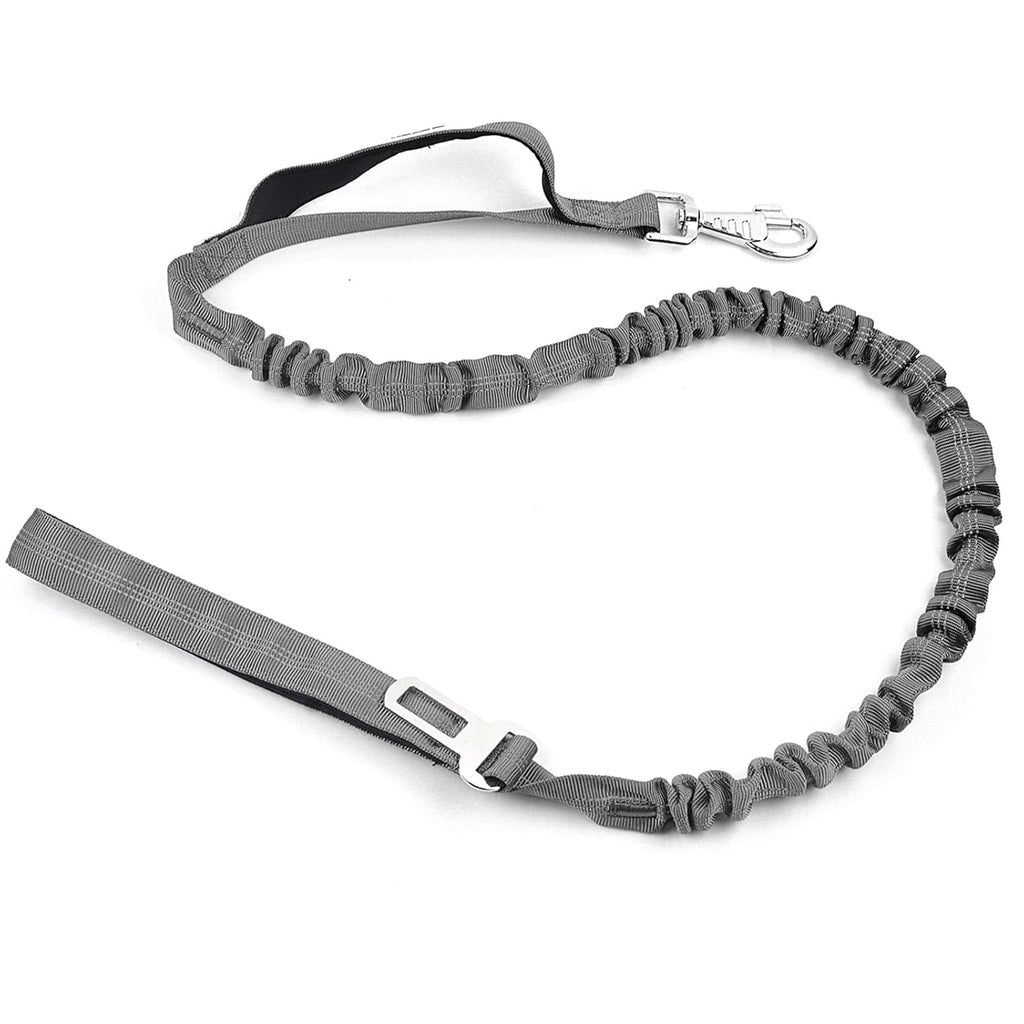 Bungee Dog Leash for Shock Absorption - Grey