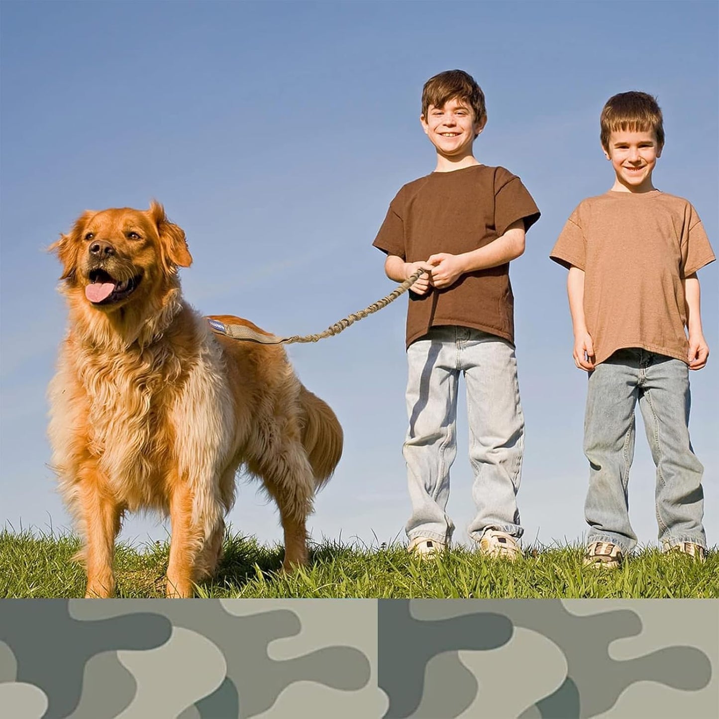 Bungee Dog Leash for Shock Absorption - Grey