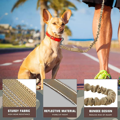 Bungee Dog Leash for Shock Absorption - Grey