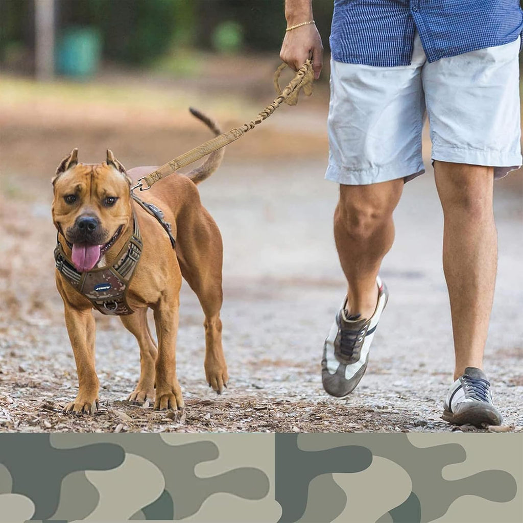 Bungee Dog Leash for Shock Absorption - Khaki