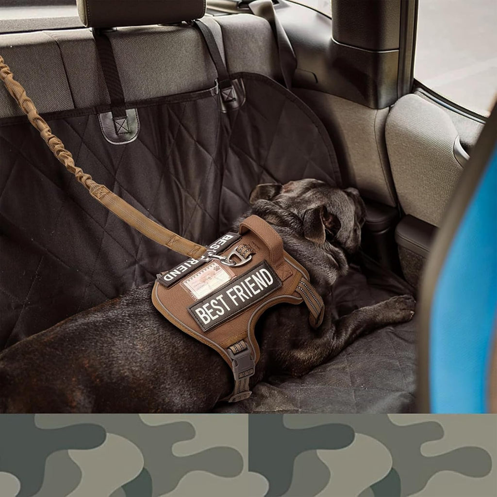 Bungee Dog Leash for Shock Absorption - Khaki